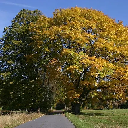 U Jezera Laka Prasily