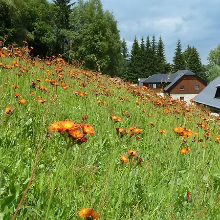 U Jezera Laka Prasily