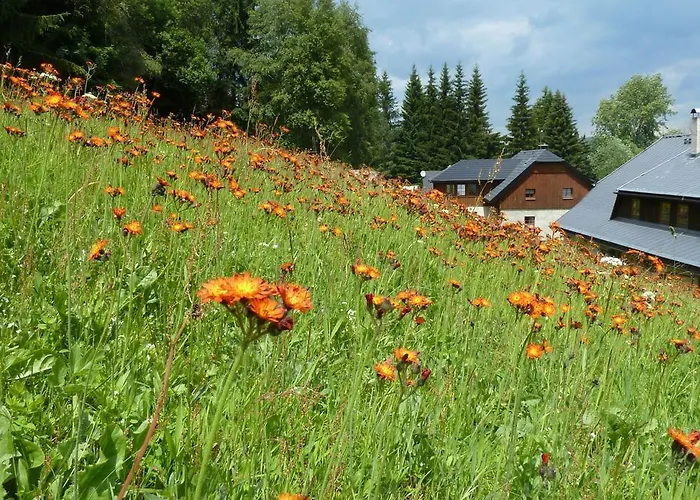 U Jezera Laka プラーシリ